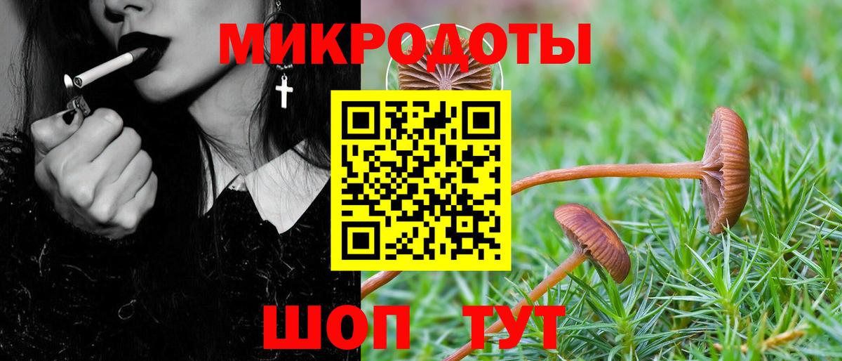 Псилоцибиновые грибы мицелий Великие Луки