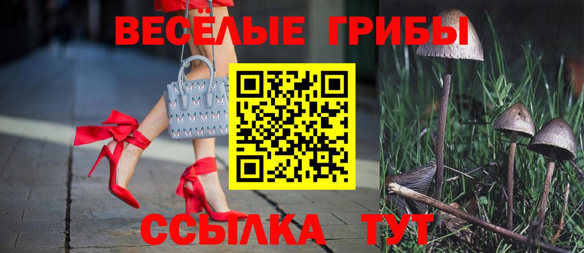 Галлюциногенные грибы Psilocybe  Псилоцибиновые грибы мицелий  Вход с VPN  Великие Луки 